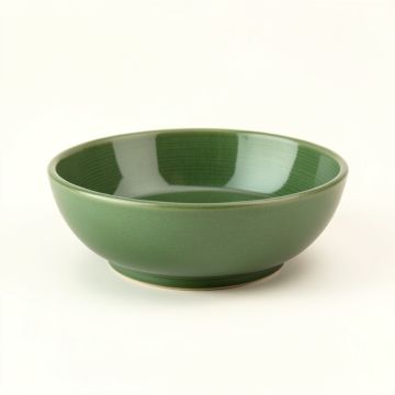 Dune Arc Dining Bowl (synthetic illustration; no displayed measurements)