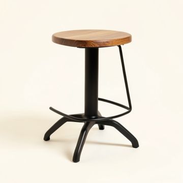 Elenora Swivel Solid Wood Bar & Counter Stool (synthetic illustration; no displayed measurements)