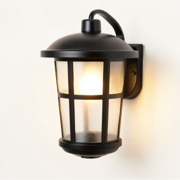 Mayhugh 4-Light Outdoor Wall Lantern (synthetic illustration; no displayed measurements)