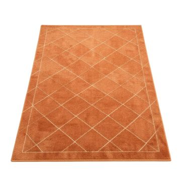 Harbor Branch Rectangular Area Rug - Terracotta (synthetic illustration; no displayed measurements)