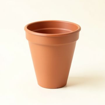 Fern Arc Empty Planter (synthetic illustration; no displayed measurements)