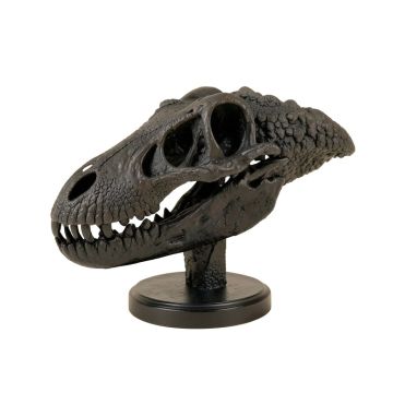 Dinosaur Skull With Base