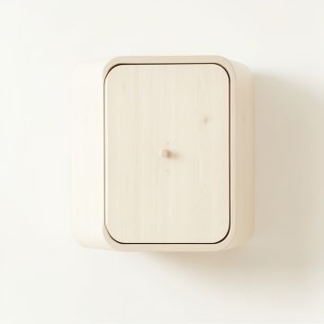 Bay Branch Wall-Mounted Laundry Cabinet - Ivory (synthetic illustration; no displayed measurements)