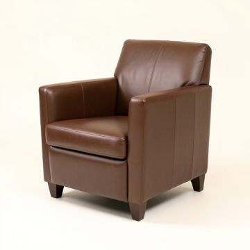 Ceballos Upholstered Arm Chair In Brown (synthetic illustration; no displayed measurements)