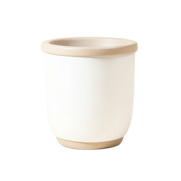 Genebra Resin Pot Planter