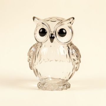 Avevia Glass Owl Figurine (synthetic illustration; no displayed measurements)