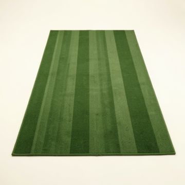 Spruce Brook Rectangular Area Rug - Green (synthetic illustration; no displayed measurements)