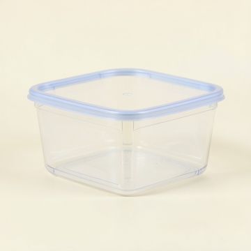 Easy Essentials Pantry Bread Box And Divided 169 Oz . Food Storage Container (synthetic illustration; no displayed measurements)