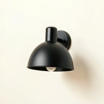 Fern Crest Wall Sconce Mounted On A Plain Wall - Black (synthetic illustration; no displayed measurements)