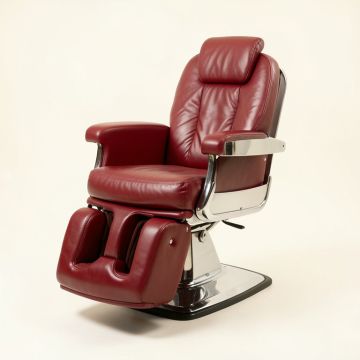 Beauty Spa Salon Barber Chair (synthetic illustration; no displayed measurements)