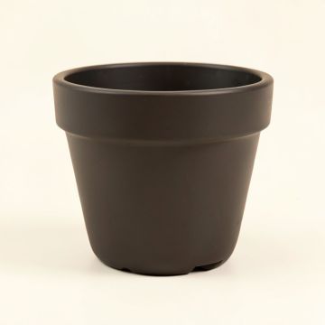 Latoya Plastic Pot Planter (synthetic illustration; no displayed measurements)