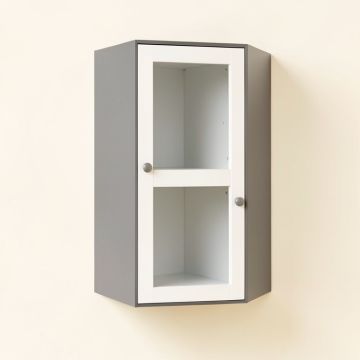 Somerset 22.81 '' W X 24.5 '' H X 7.88 '' D Wall Mounted Bathroom Cabinet (synthetic illustration; no displayed measurements)