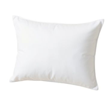 Alwyn Home Rayon From Bamboo Full Body Pillow Cover