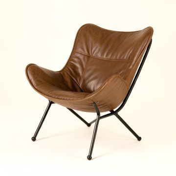 Wilbraham Butterfly Chair (synthetic illustration; no displayed measurements)