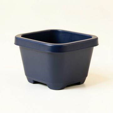 Maple Bluff Empty Raised Planter - Navy (synthetic illustration; no displayed measurements)
