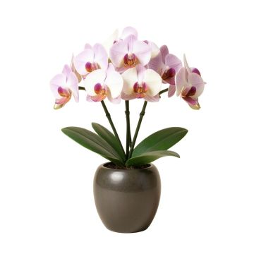 Artificial Cymbidium Orchids Floral Arrangement In Vase