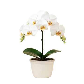 52 '' Phalaenopsis Orchid Silk Flower Arrangement -White