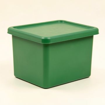 Shore Bridge Closed Outdoor Storage Box - Green (synthetic illustration; no displayed measurements)