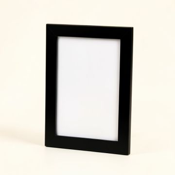 Amilyah Single Picture Frame (synthetic illustration; no displayed measurements)