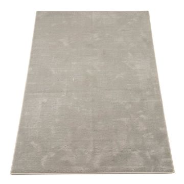 Trickett Silver Area Rug