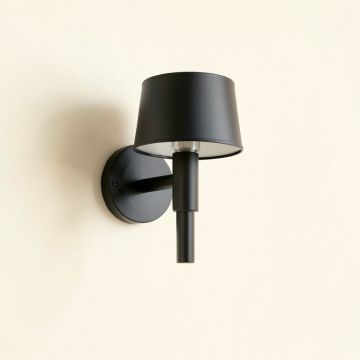 Birch Dell Wall Sconce Mounted On A Plain Wall - Black (synthetic illustration; no displayed measurements)