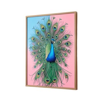 Peacock Graphic Art