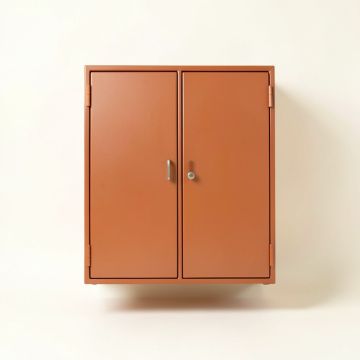 Aspen Canyon Wall-Mounted Entry Cabinet - Terracotta (synthetic illustration; no displayed measurements)