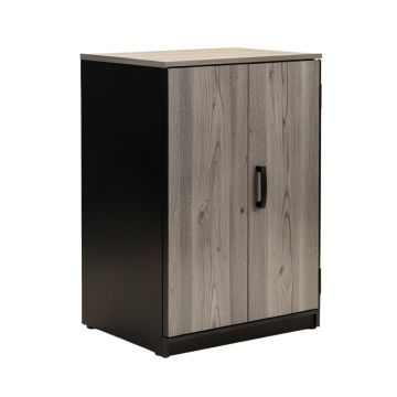 Salina 63 '' H X 31 '' W X 16 '' D Storage Cabinet