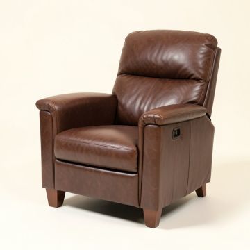 Elizondo 27.8 '' Wide Leather Match Power Lift Assist Ergonomic Recliner (synthetic illustration; no displayed measurements)