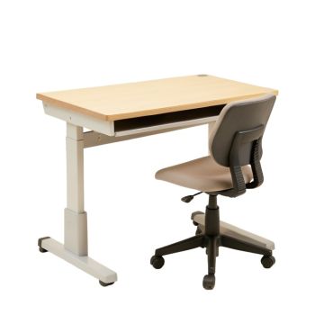 Ferro 27.5 '' Writing Desk And Chair Set