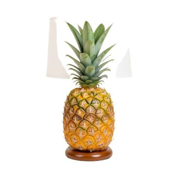 Pineapple 23.5 '' Table Lamp (synthetic illustration; no displayed measurements)