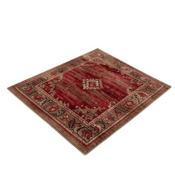 Esqueda Power Loom Brown/Red Rug