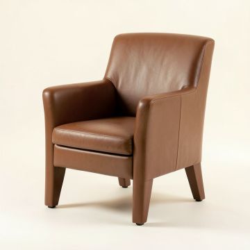 Arik Upholstered Dining Chair (synthetic illustration; no displayed measurements)