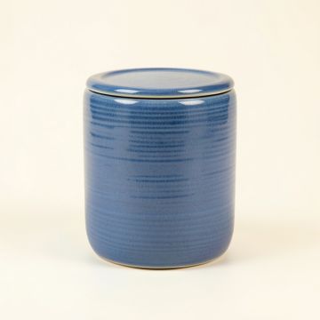 Spruce Brook Storage Canister With Lid - Blue (synthetic illustration; no displayed measurements)