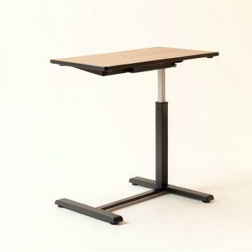 Home Office Electric Height Adjustable Standing Desk 48 '' X24 '' (synthetic illustration; no displayed measurements)