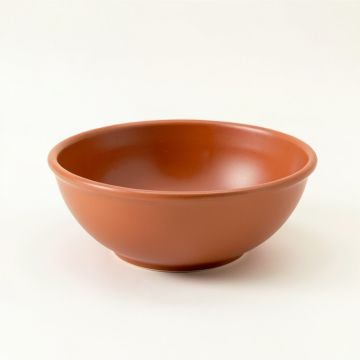 Elm Branch Dining Bowl - Terracotta (synthetic illustration; no displayed measurements)