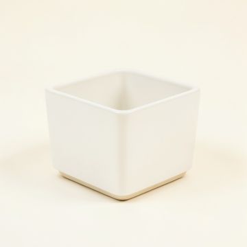 Fern Bridge Empty Planter - White (synthetic illustration; no displayed measurements)