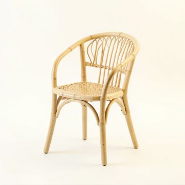 Alder Bridge Dining Chair - Ivory (synthetic illustration; no displayed measurements)