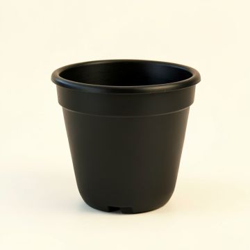 Abram Self-Watering Plastic Pot Planter (synthetic illustration; no displayed measurements)