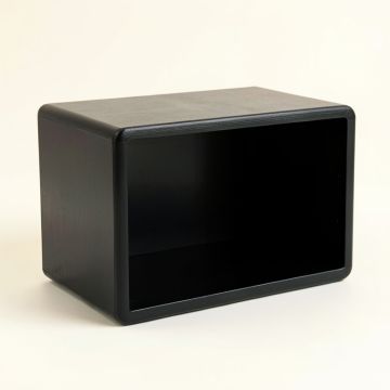 Birch Bluff Low Toy Storage Unit - Black (synthetic illustration; no displayed measurements)
