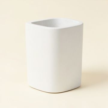 Scagni Shower Caddy (synthetic illustration; no displayed measurements)
