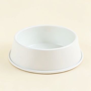 Non-Slip And Leak-Proof Food Design Pet Bowls/Dish (synthetic illustration; no displayed measurements)