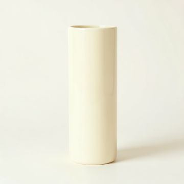 Cove Branch Empty Decorative Vase - Ivory (synthetic illustration; no displayed measurements)
