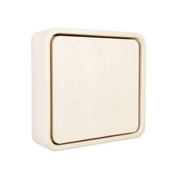 Clay Brook Wall-Mounted Entry Cabinet - Ivory