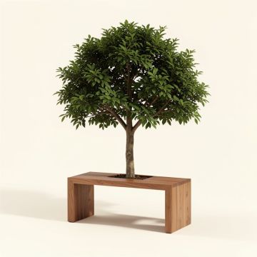 Patricia Hall Tree With Bench (synthetic illustration; no displayed measurements)