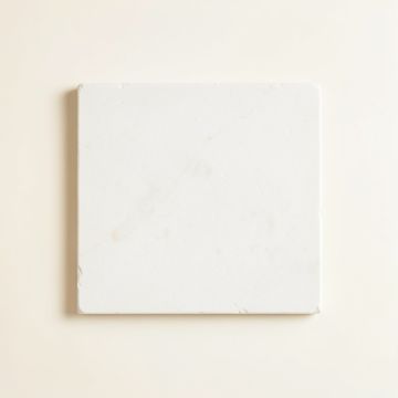 Willow Branch Uninstalled Square Decorative Tile - White (synthetic illustration; no displayed measurements)
