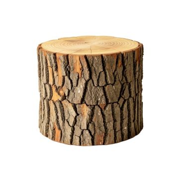 Gosnold Tree Stump End Table