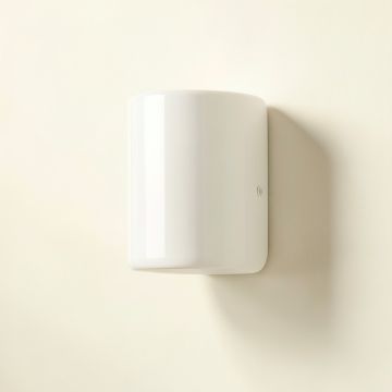 Dawn Branch Wall Sconce Mounted On A Plain Wall - White (synthetic illustration; no displayed measurements)