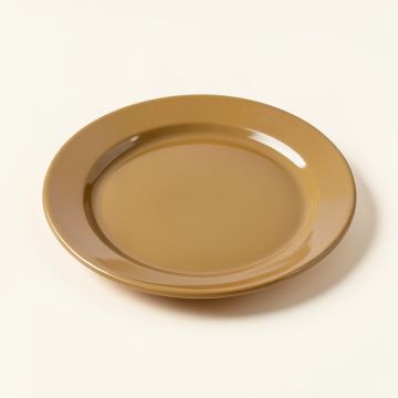 Oberyn 9 '' Melamine Salad Plate (synthetic illustration; no displayed measurements)