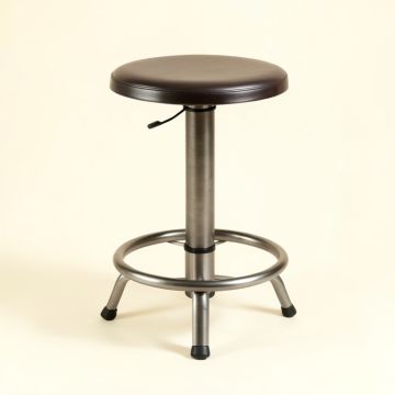 Baisden Adjustable Height Swivel Bar Stool (synthetic illustration; no displayed measurements)